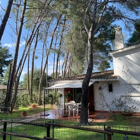 Chalet Felicita Con Giardino Immerso Nel Bosco *