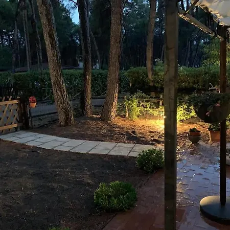Felicita Con Giardino Immerso Nel Bosco Castellaneta Marina