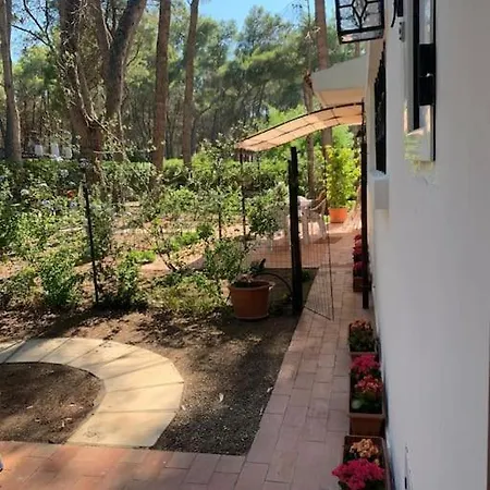 Felicita Con Giardino Immerso Nel Bosco Chalet *