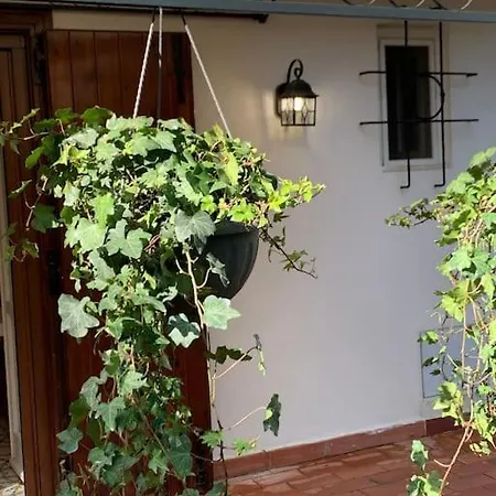 Felicita Con Giardino Immerso Nel Bosco * Castellaneta Marina