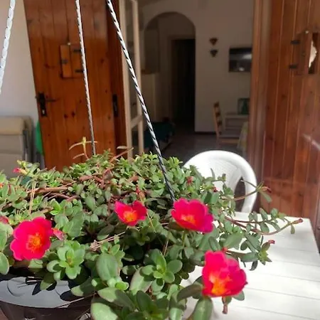 Felicita Con Giardino Immerso Nel Bosco Chalet