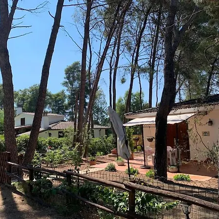 Chalet Felicita Con Giardino Immerso Nel Bosco