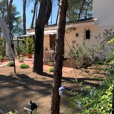 Felicita Con Giardino Immerso Nel Bosco Chalet