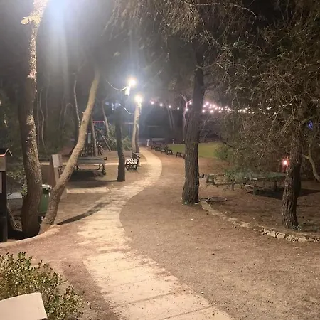 Felicita Con Giardino Immerso Nel Bosco Chalet *