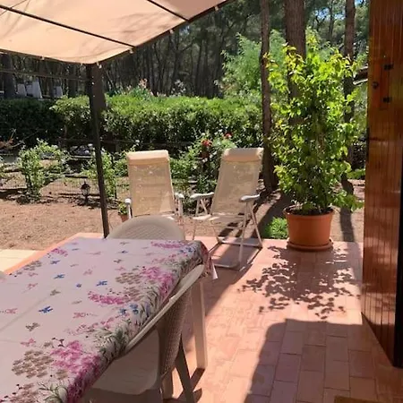 Chalet Felicita Con Giardino Immerso Nel Bosco