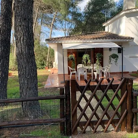 Felicita Con Giardino Immerso Nel Bosco Σαλέ *